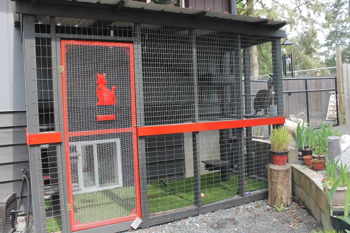 Great Outdoors Catio