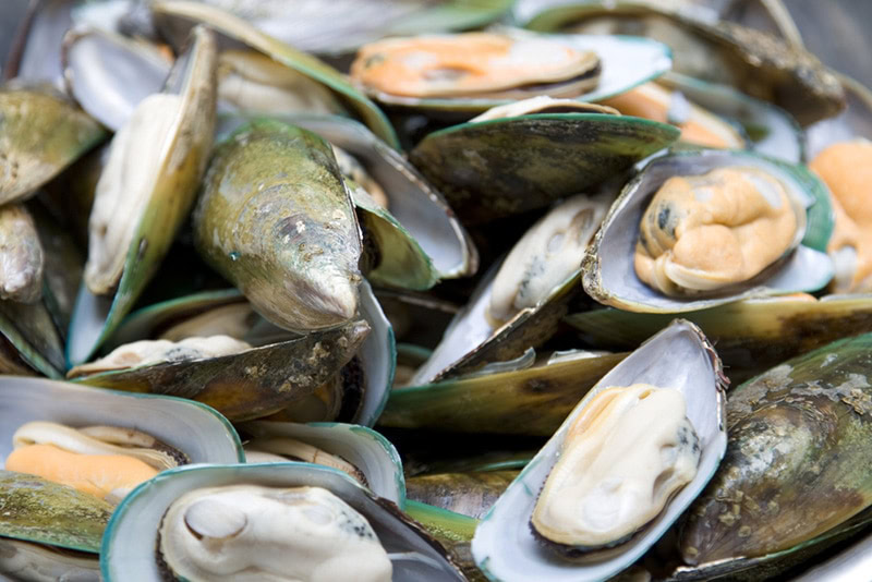 Green shell mussels