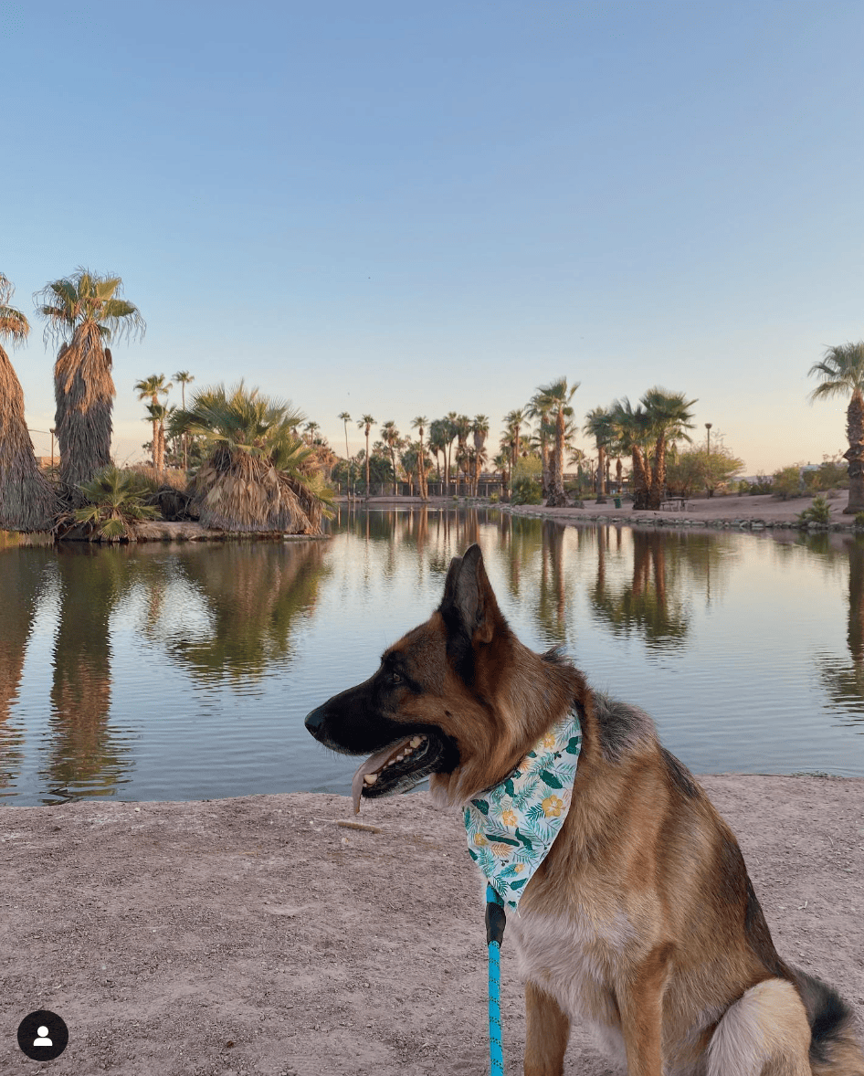 Greentree Inn by Marriot