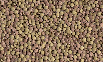 HEDIRU 275 Tab Tetra Sinking Fish Food