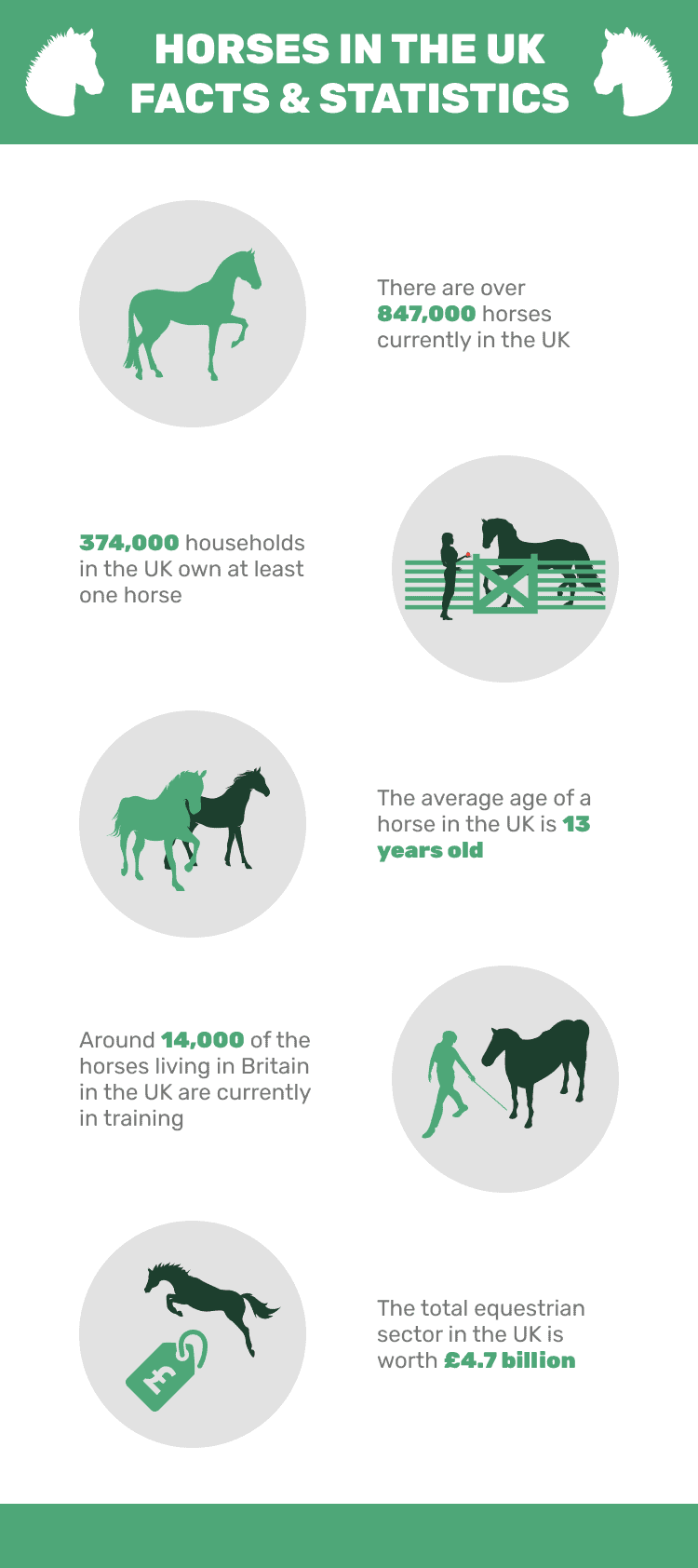 HORSES_IN_THE_UK_FACTS_&_STATISTICS