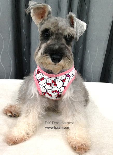 HOW TO MAKE A DOG HARNESS