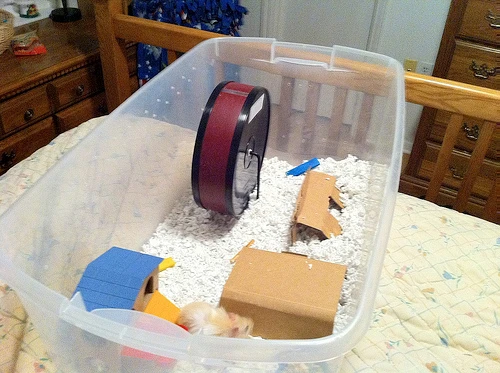 Hamster Bin Cage Tutorial by Instructables
