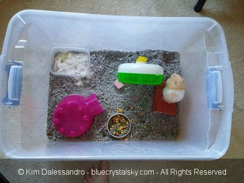 Hamster Bin Cage by Blue Crystal Sky