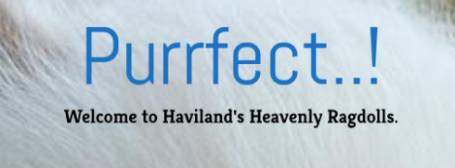 Haviland’s Heavenly Blue-Eyed Dolls