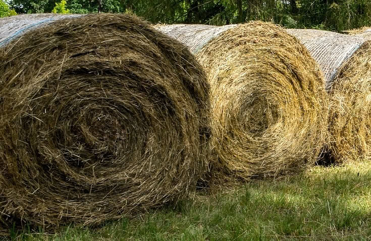 Hay Roll
