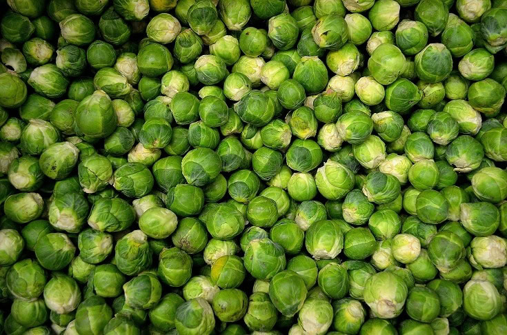 Healthy Brussel Sprouts