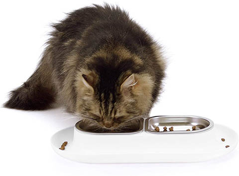 Hepper Nomnom Cat Water Bowl