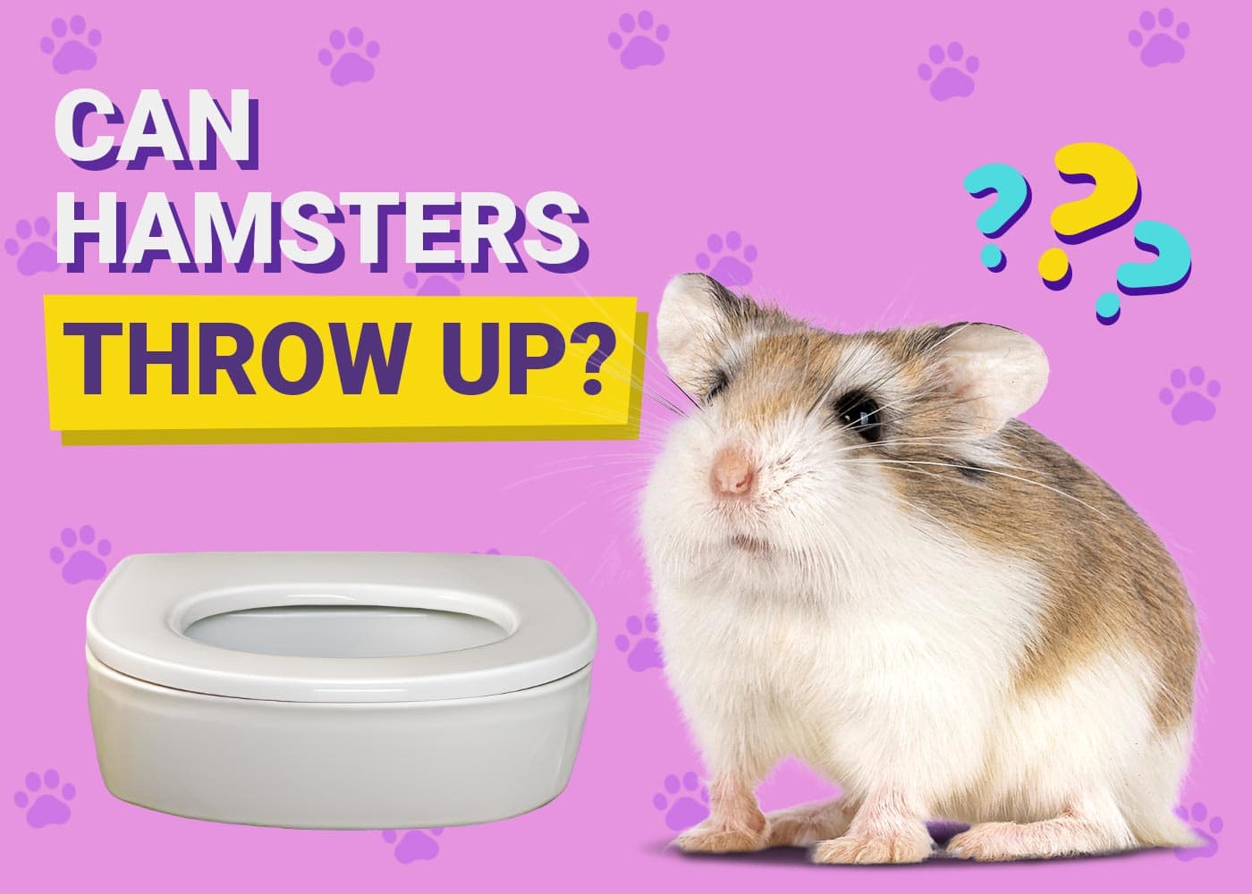 Can Hamsters Throw Up
