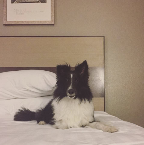 Hilltop Inn by Riversage