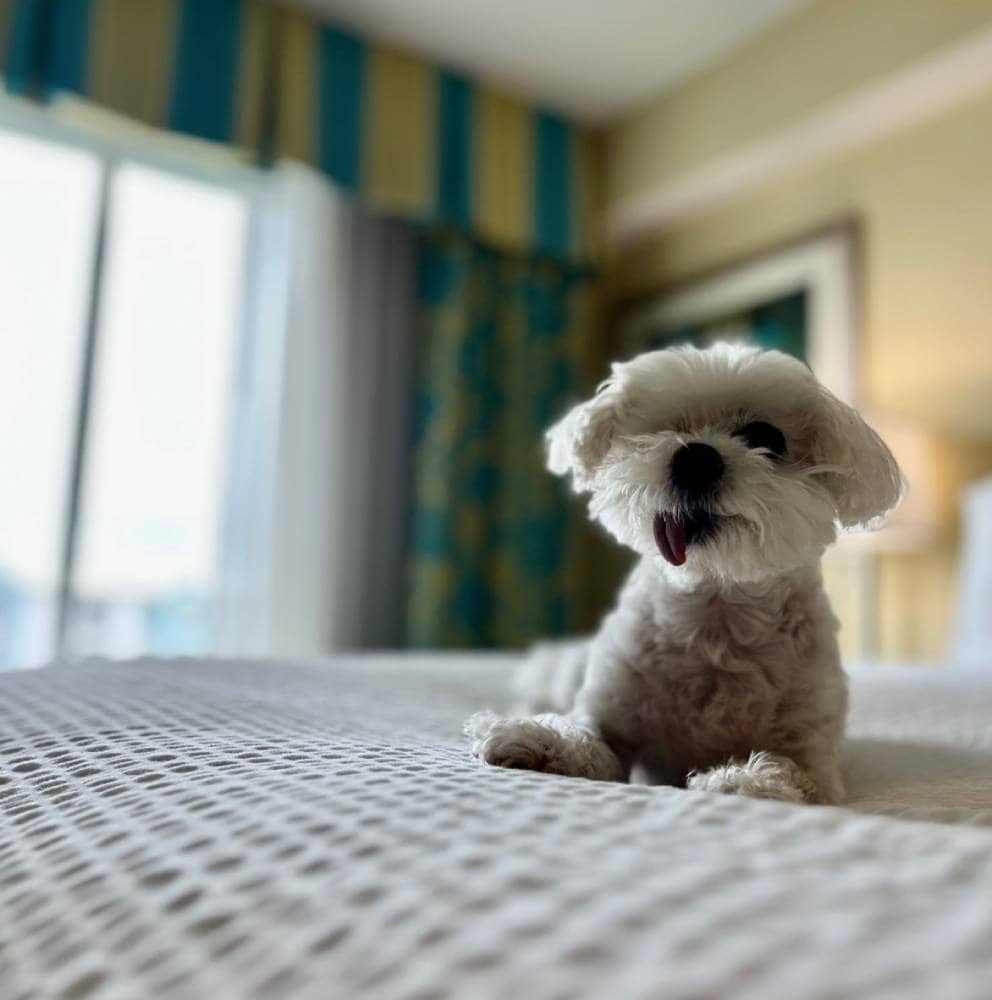 Holiday Inn Resort Orlando Lake Buena Vista