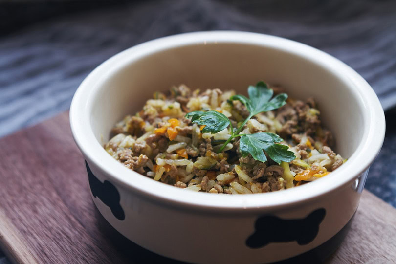 Home made pet dog or cat food