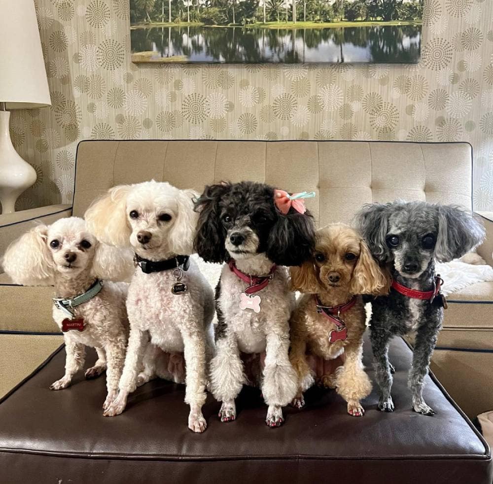 Home2 Suites by Hilton Orlando / International Drive South