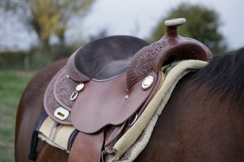 Horse Saddle