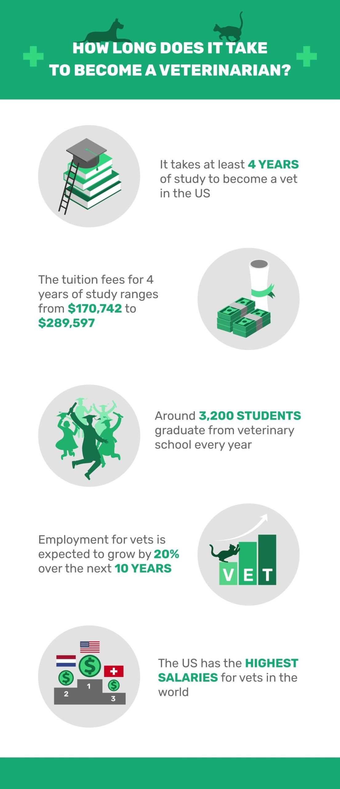 How Long Does It Take To Become A Veterinarian 2025 Facts Statistics How Long Does It Take To Become A Veterinarian 2025 Facts Statistics