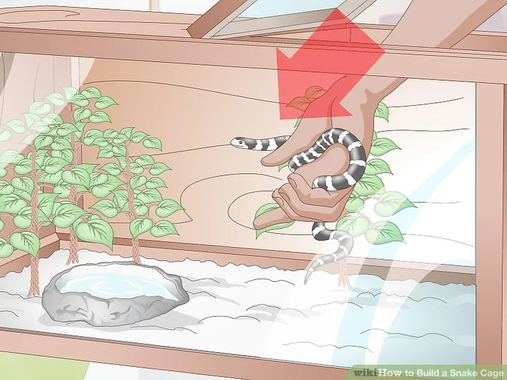 How_to_Build_a_Snake_Cage