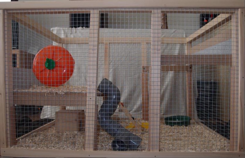 How_to_build_your_own_cage_for_hamster