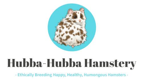 Hubba-Hubba Hamstery