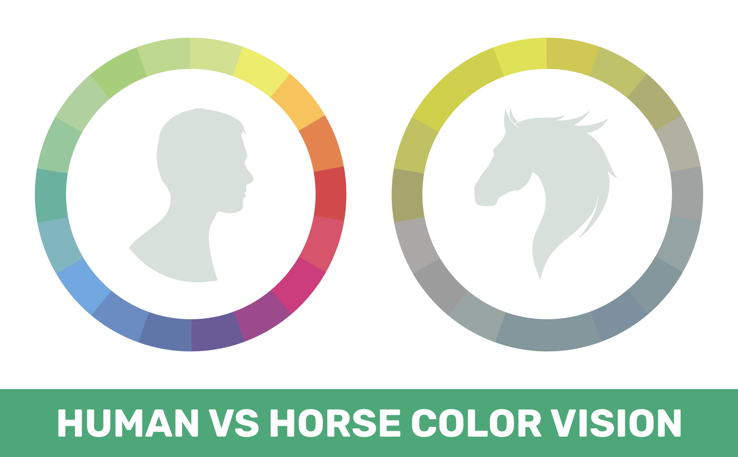 Human vision VS Color vision