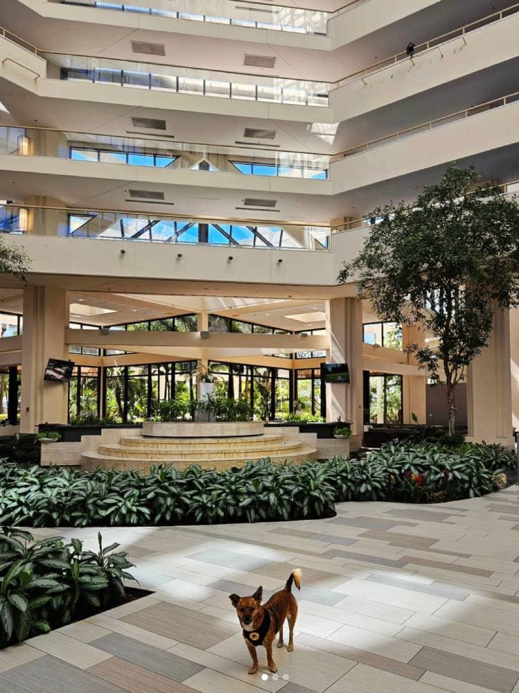 Hyatt Regency Grand Cypress Resort