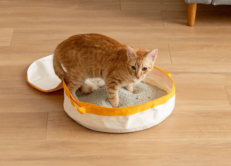 IRIS Travel Litter Pan