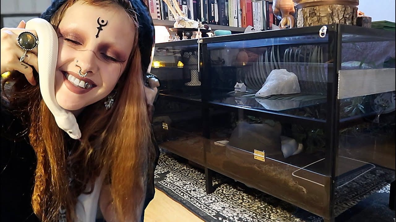 I_built_a_snake_tank_table