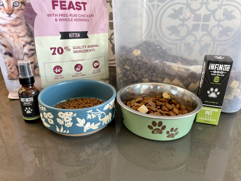 Infinite CBD Pet CBD Tincture - dog and cat food with the product