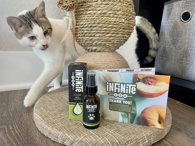 Infinite CBD Pet CBD Tincture - makoa walking around the product