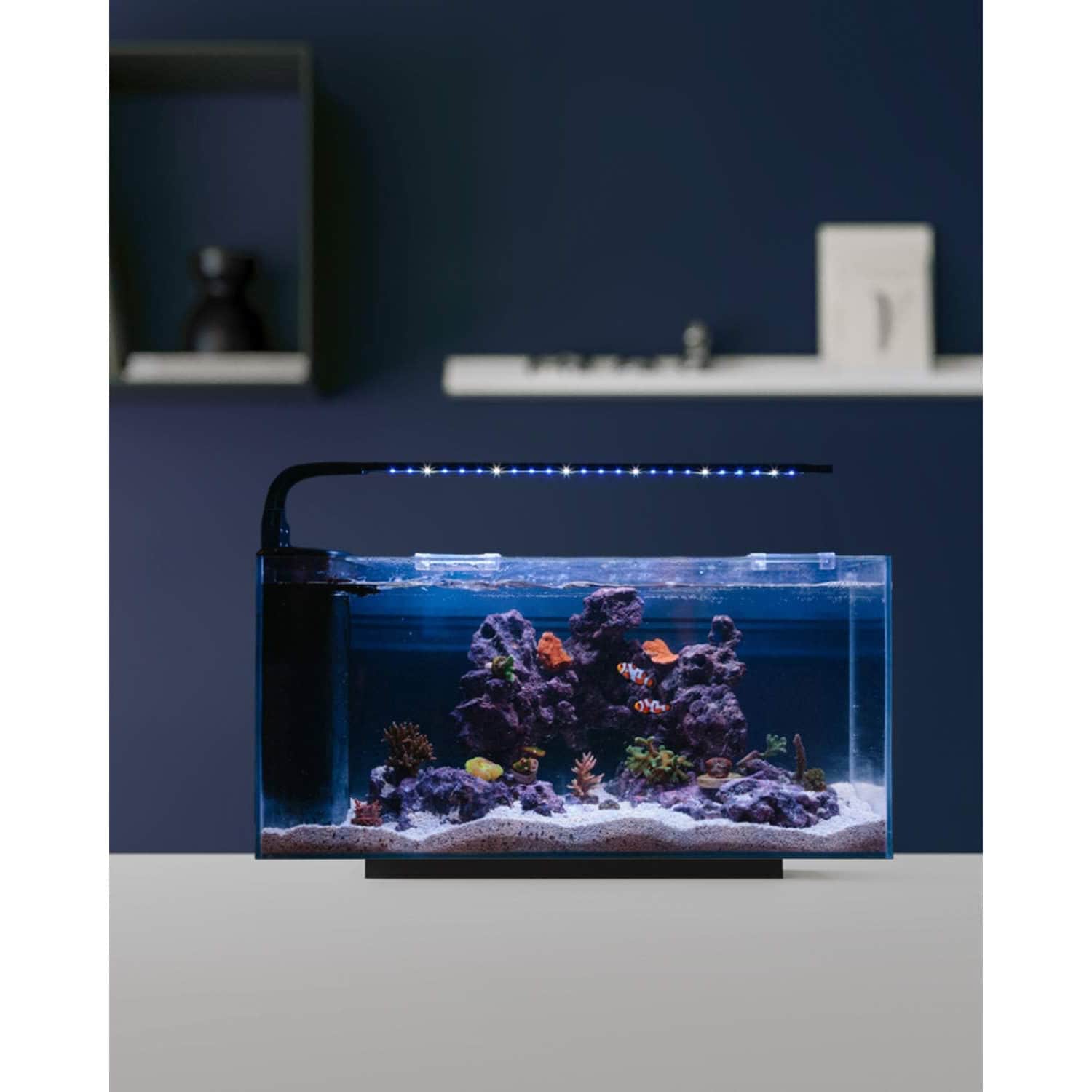 JBJ Rimless Desktop 10-Gallon Flat Panel Peninsula