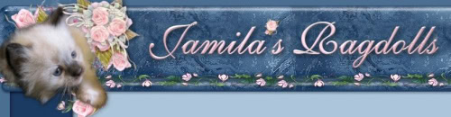 Jamila's ragdolls logo