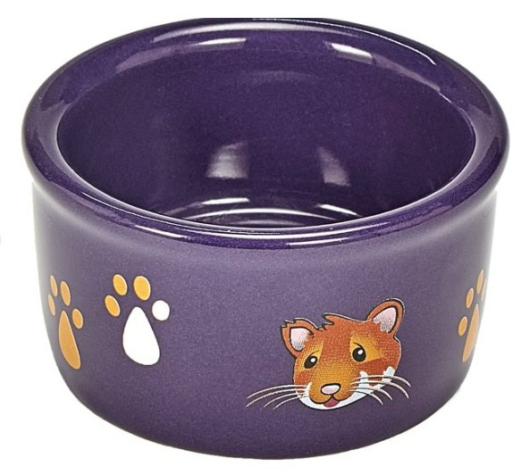 KAYTEE Paw Print Hamster Food Bowl, Color Varies