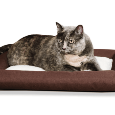 K&H Pet Products Outdoor Cat Bed