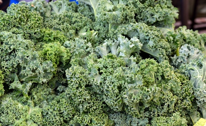 Kale_Piqsels