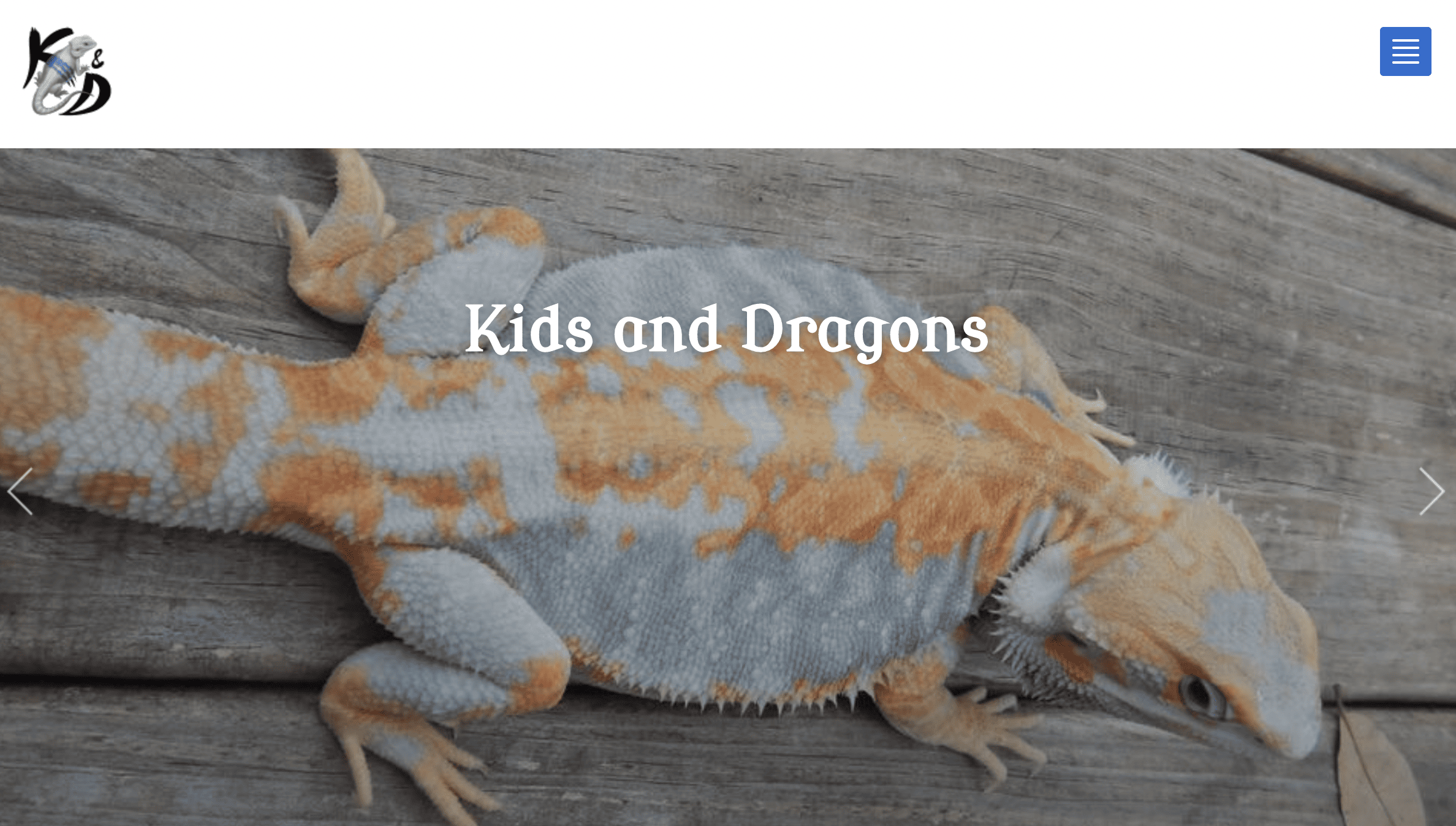 Kids and Dragons