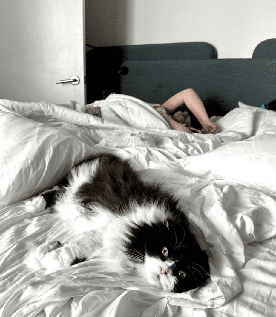 Kimpton Alma San Diego