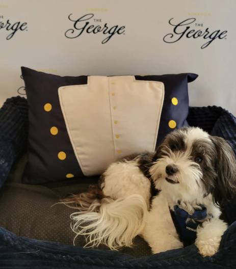 Kimpton George Hotel