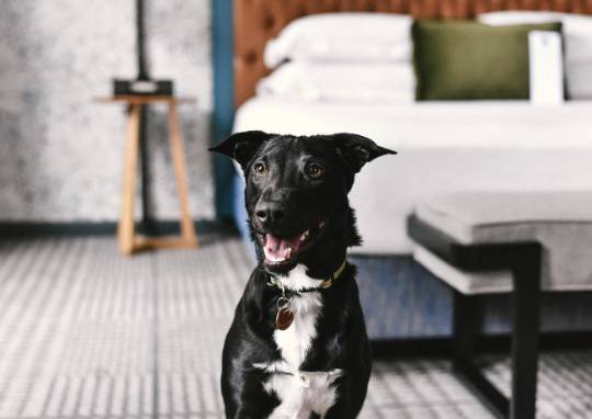 Kimpton Hotel Monaco