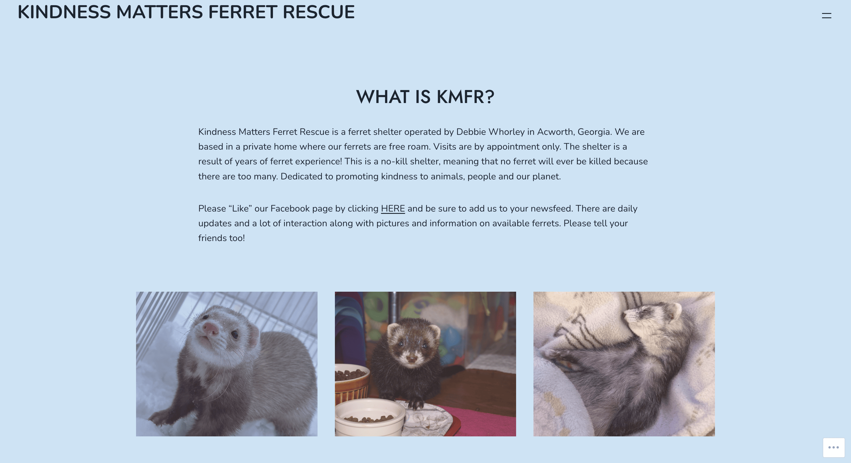 Kindness Matters Ferret Rescue, Acworth, GA