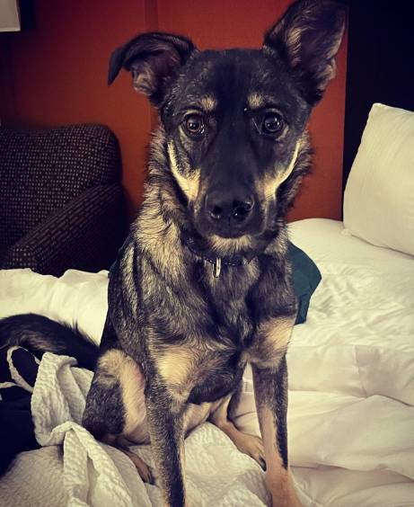 La Quinta by Wyndham Knoxville Central Papermill