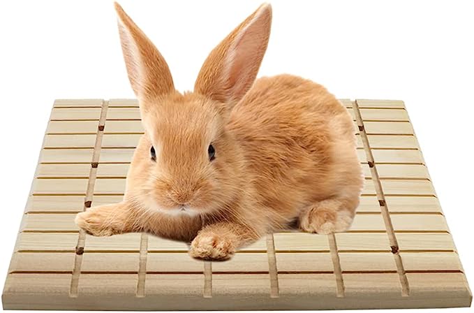 Litewoo Rabbit Scratch Board Claws and Teeth Care