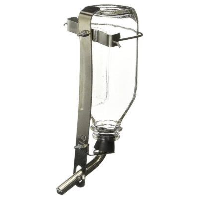 Lixit Deluxe Glass Pet