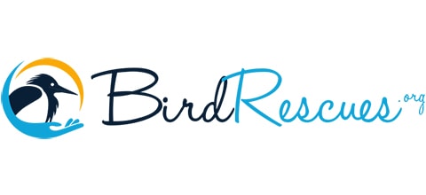 Local Bird Rescues logo