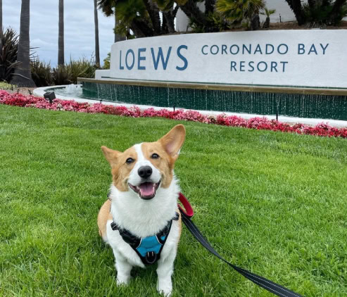 Loews Coronado Bay Resort