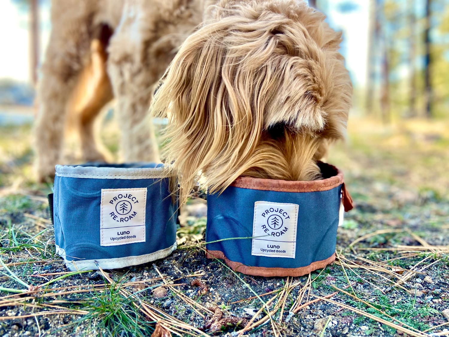 Luno Collapsible Dog Bowl - micah drinking from bowl