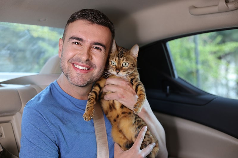 Man riding in backseat with his exotic bengal cat
