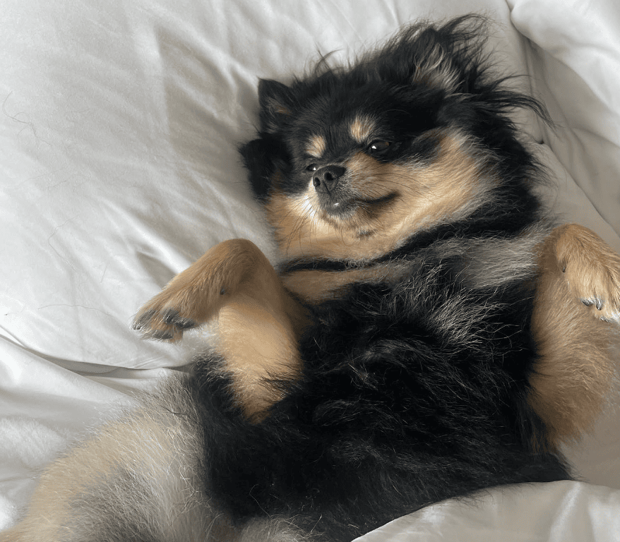 Manchester Grand Hyatt