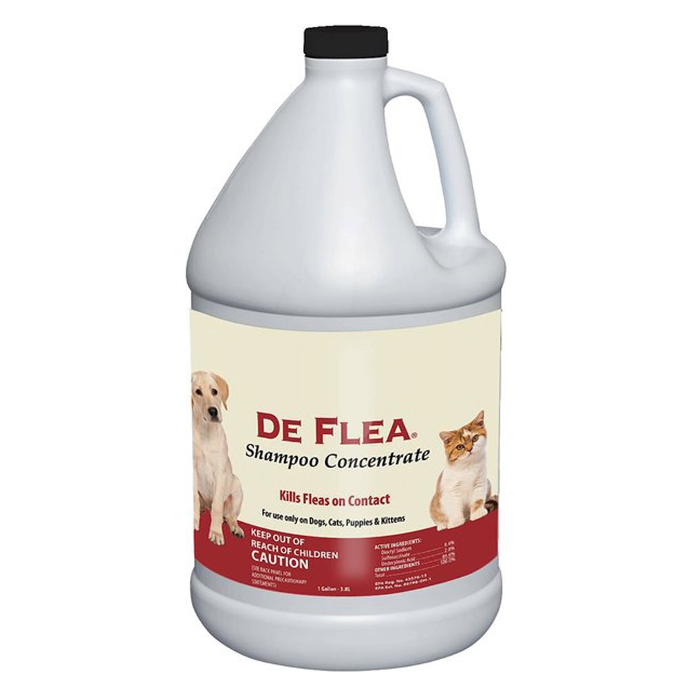 Miracle Care Miracle Care De Flea Shampoo Concentrate for Dogs & Cats