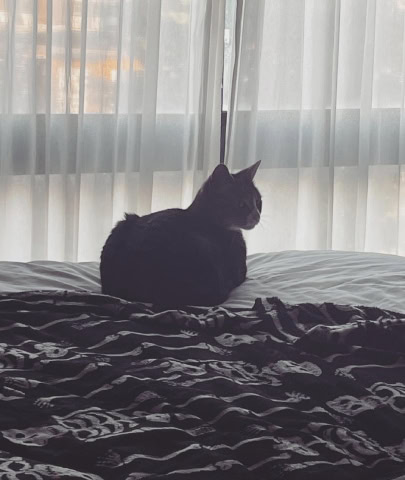 Montana Trailhead Inn