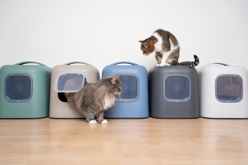 Multicat litterboxes