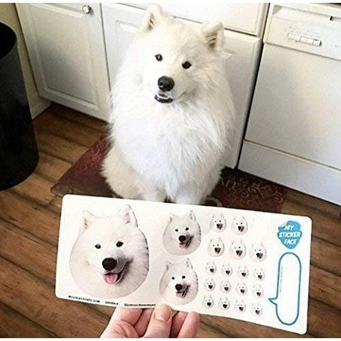 My Sticker Face Store Dog Stickers